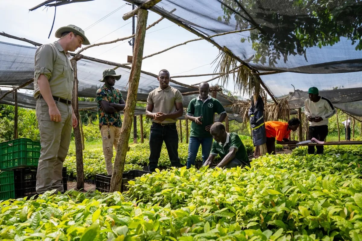 Our Bulindi Chimpanzees take the global stage on BBC’s Planet Earth III_visual 2