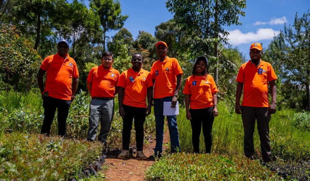 Three steps driving Kenya’s forest comeback_featured